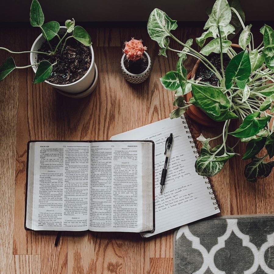 white book page beside green potted plant